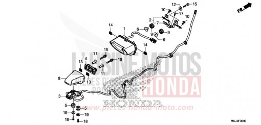 TAILLIGHT/LICENSE LIGHT CB1000RAL de 2020